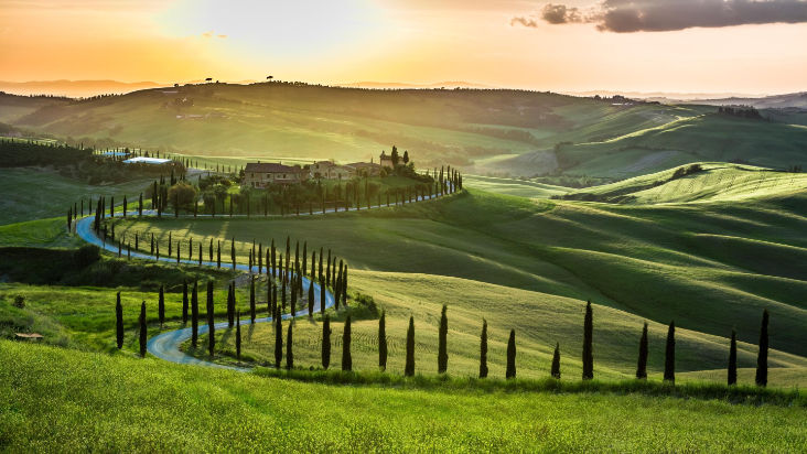 Best Wineries Tour Italy